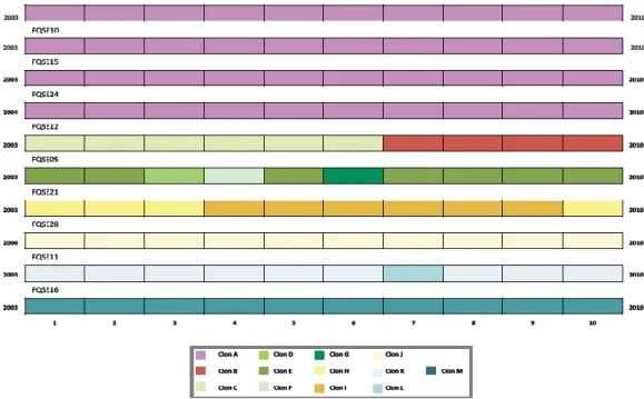 Figure 4.1. PFGE clones distribution. Each bar represents a  different patient and each colour represents a  different PFGE clone