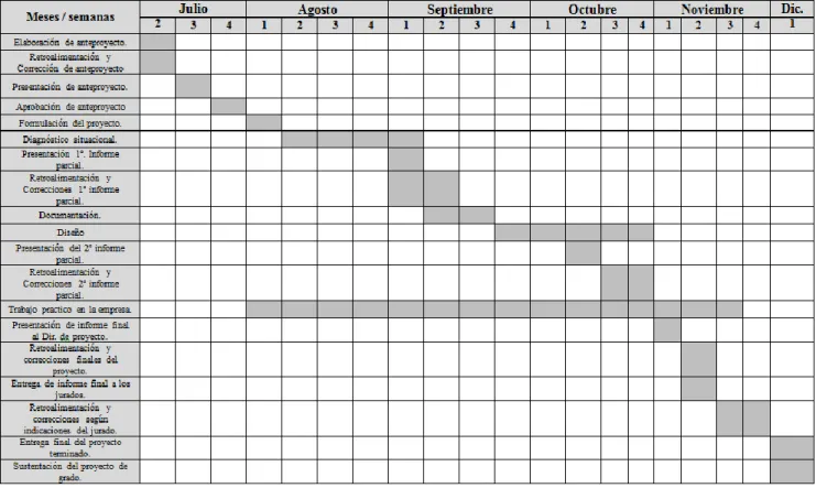 Tabla 7 Cronograma