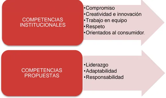 Figura 3. Competencias Institucionales y propuestas 