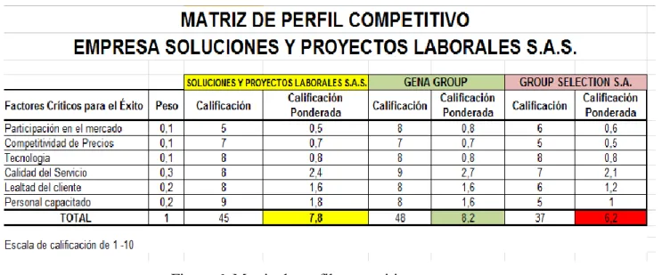 Figura 6. Matriz de perfil competitivo 