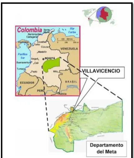 Figura 2. Ubicación del Municipio de Villavicencio. 