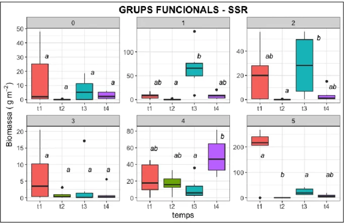 Fig.  9.  Biomassa  dels  grups  funcionals  de  la  coberta  de  la  Son  Sureda  Ric  (SSR)  en  els  distints  mostreigs  (t1:  febrer-17;  t2:  maig-17;  t3:  febrer-18;  t4:  maig-18)