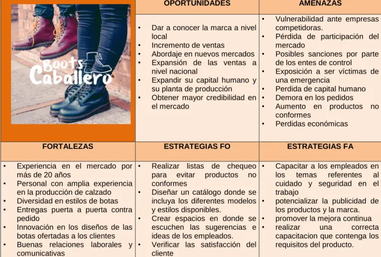 Tabla 5 Análisis DOFA 