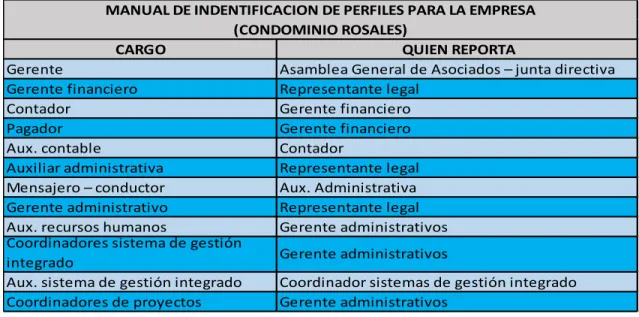 Tabla 4. Perfiles de cargos