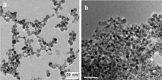 Fig. 1.6. Micrografías de TEM de NP de γ-Fe 2 O 3 , sintetizadas por el método de coprecipitación