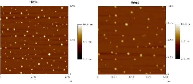 Fig. 2.9. Micrografías de AFM de nanopartículas de Fe 3 O 4  sin funcionalizar en dos planos  diferentes