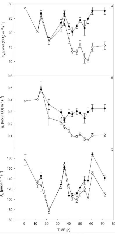 Fig.  3.  Evolution  over  time  of  net  photosynthetic  rate  (P N , A),  stomatal  conductance  (g s ,  B),  and  electron  transport  rate  (J flu ,  C)  along  the  experiment  in  well-watered  plants  (black  circles)  and  water-deficit  Arundo  do