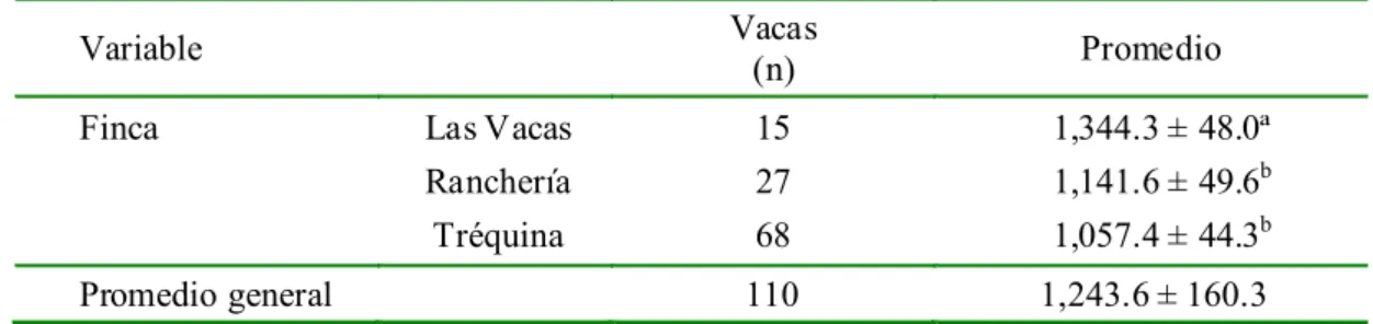 Cuadro 1.  Promedio de edad al primer parto (en  días) de vacas mestizas doble propósito  con predominio Bos indicus en tres fincas del municipio de Arauca, Colombia  