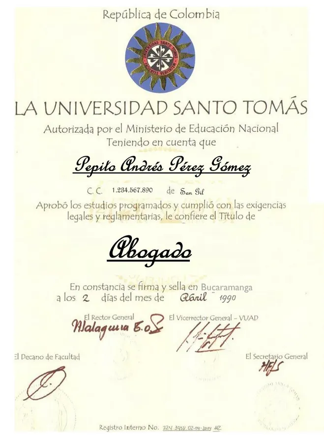 Figura 4. Diploma de Pregrado. 