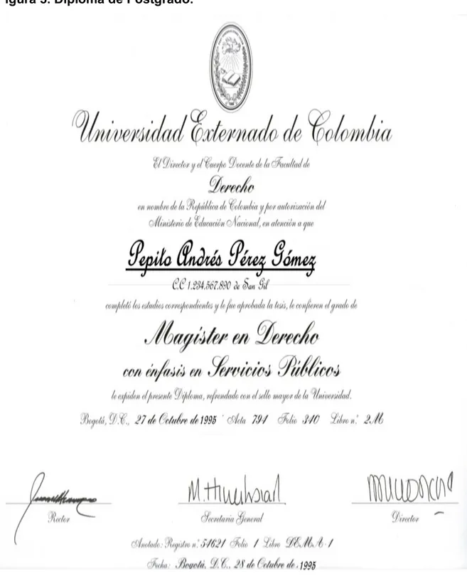 Figura 5. Diploma de Postgrado. 