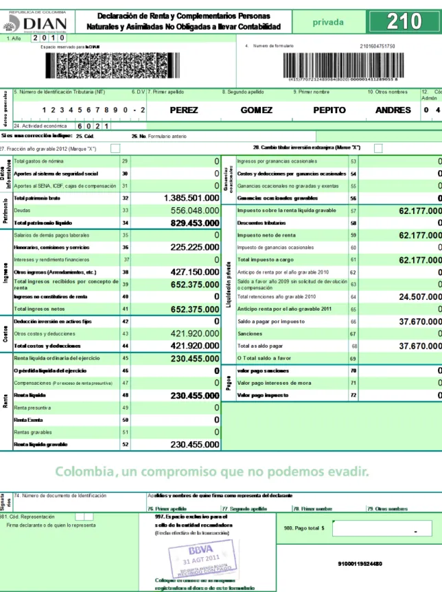 Figura 13. Declaración de Renta año 2.010  