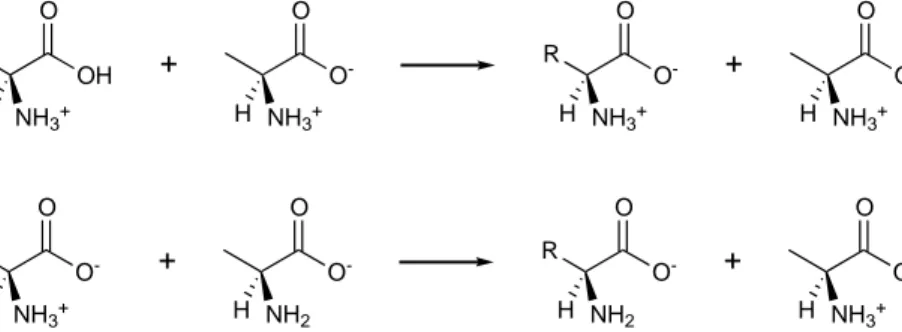 Figura  4.2.  Reacción  isodésmica  empleada  para  calcular  el  pK a   del  grupo  - -carboxílico (pK a1 )