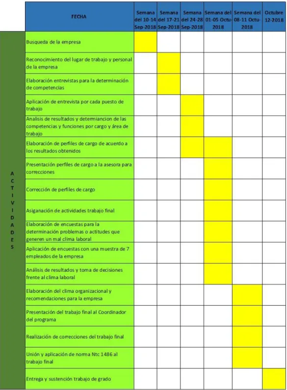 Tabla 1.  Cronograma de actividades 