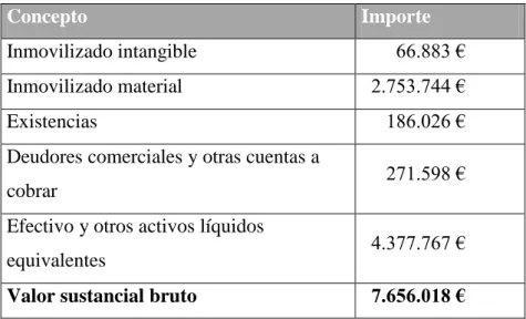 Tabla 8. Valor Sustancial Bruto 