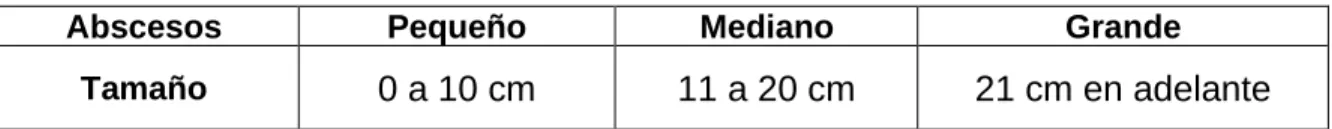 Tabla 3. Clasificación de quistes según su área de extensión.