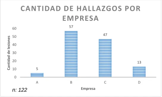 Figura 9. Zona afectada por la presencia de hematomas. 