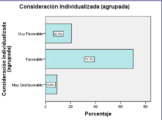 Figura 12. Consideración Individualizada 