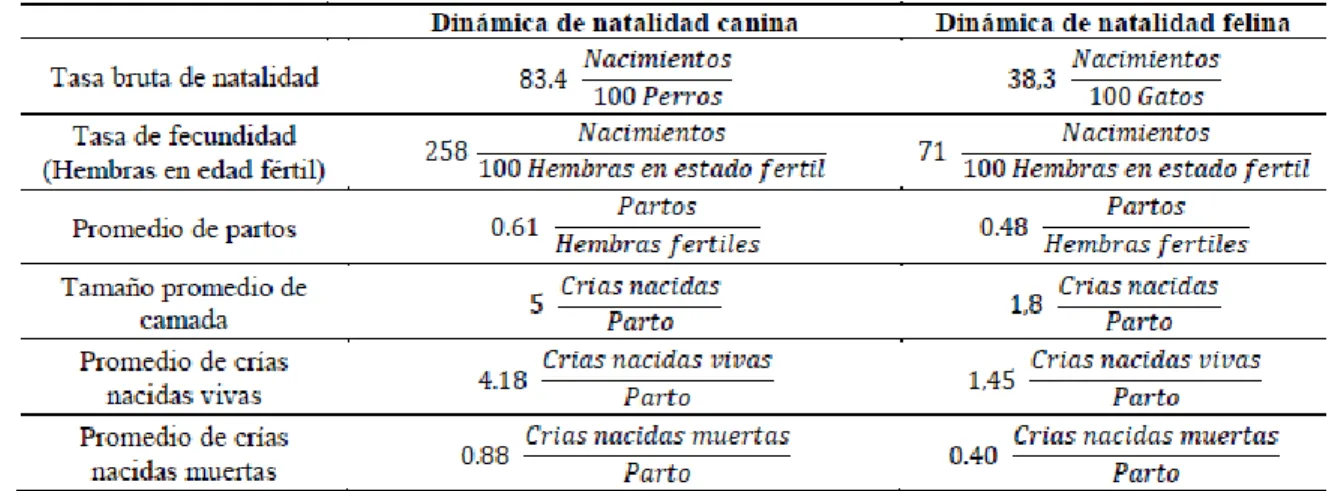 Tabla 2. Dinámica de natalidad canina y felina del municipio de Icononzo. 