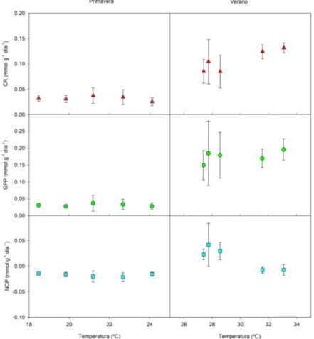 Figura  16: Tasas metabólicas  (CR,  GPP  y  NCP)  en  mmol  g -1   día -1   correspondientes  a  los  experimentos  de  primavera y verano con testigos de sedimento que contienen la macroalga invasora Halimeda incrassata