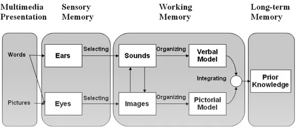 Figura 3: Esquema Multimedia Learning Mayer (Mayer, 2011:81) 