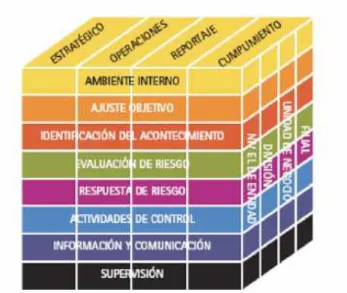 Figura 7 Cubo COSO – ERM II  [11]