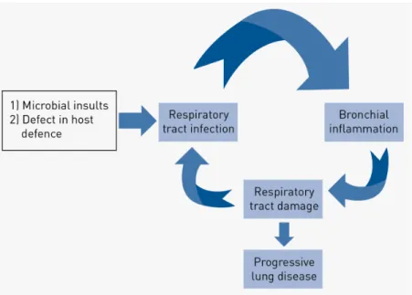 Fig	
  18.	
  Círculo	
  vicioso	
  infección-­‐inflamación-­‐daño	
  celular	
  que	
  predispone	
  a	
  la	
  cronificación	
  del	
   proceso	
  con	
  deterioro	
  progresivo	
  de	
  la	
  función	
  pulmonar.	
  