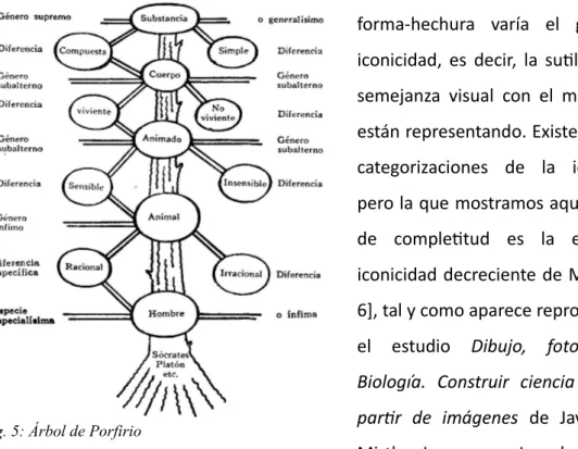 Fig. 5: Árbol de Porfirio