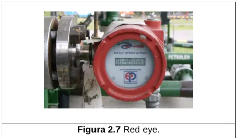 Figura 2.7 Red eye. 