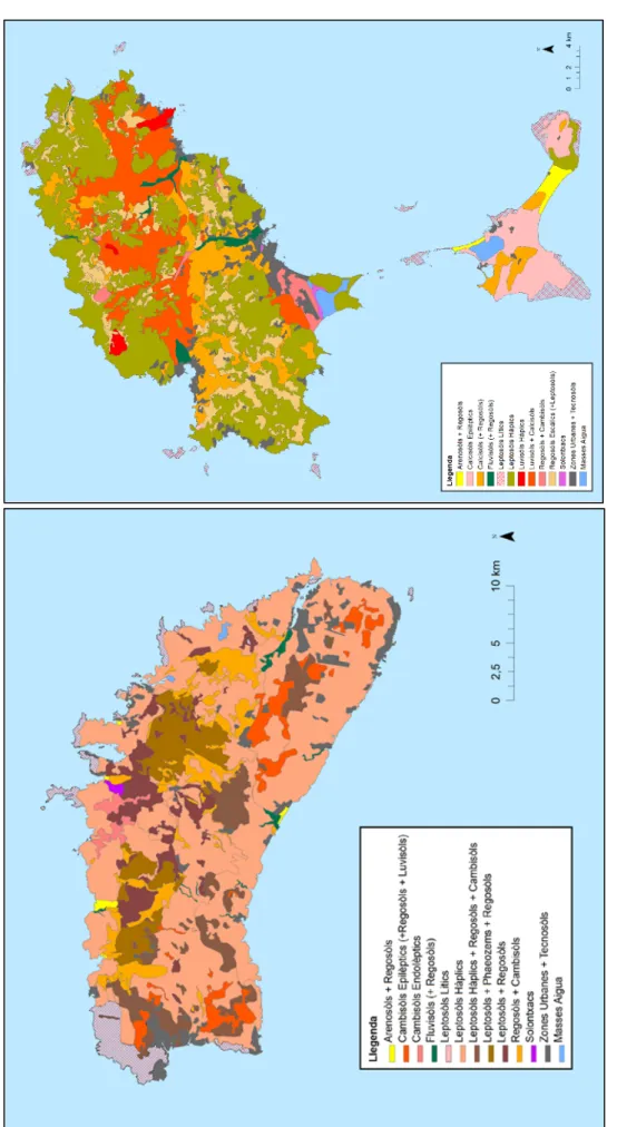 Figura 3.9: Mapa de sòls de l’illa de Menorca (esquerra) i de les illes d’Eivissa i Formentera (dreta) d'acord a la WRB (IUSS Working Group WRB, 2006)