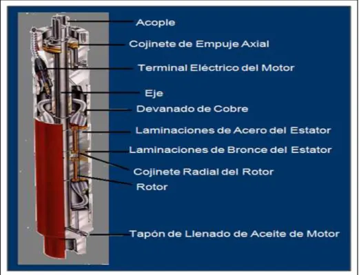 Figura 1.10  MOTOR ELECTROSUMERGIBLE 
