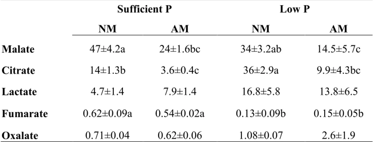 Table  3.  Effect  of  arbuscular  mycorrhizal  (AM)  fungus  colonization  on  the  amount  of  rhizosphere  carboxylates  [malate,  citrate,  lactate,  fumarate  and  oxalate  (µmol  g -1   root  DW)]  of  tobacco  plants  grown under phosphorus (P)-suff