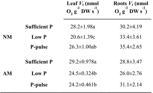 Table  2. Effect of phosphorus (P) availability on the total respiration (V t ) in leaves and roots of NM  and  AM  tomato  plants  grown  under  phosphorus  (P)-sufficient (Sufficient  P,  0.25  mM)  or  P-limiting  conditions (Low P, 0.025 mM), and expos