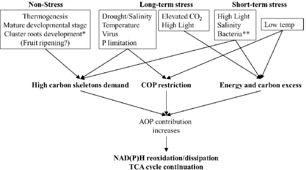 Figure 2. Schematic representation of factors that induce changes in AOP contribution in vivo as well  as putative AOX roles under stress and non-stress conditions