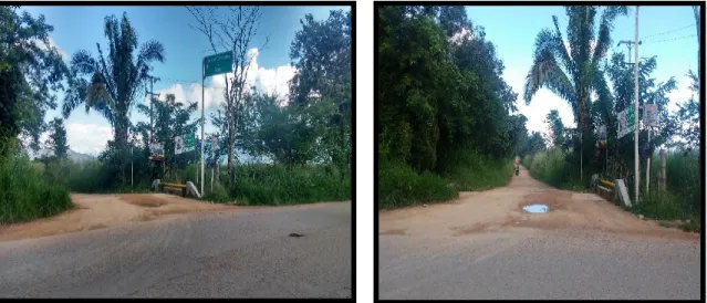 Figura  40.  Acceso Vereda Llano del Combeima 