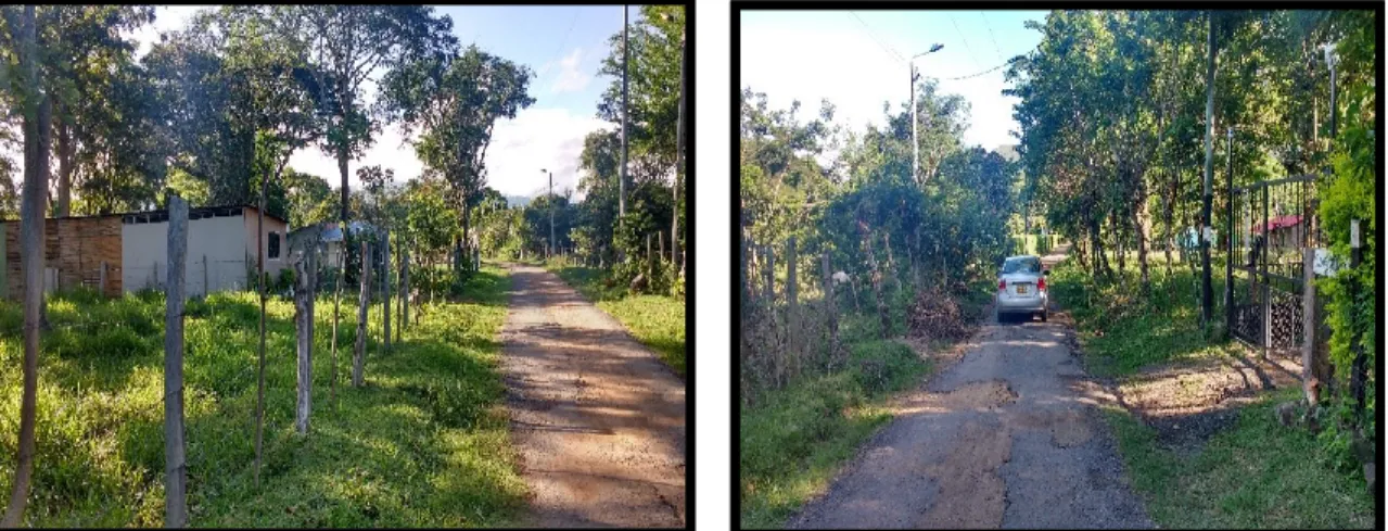 Figura  12.  Tramo (K6+000). 