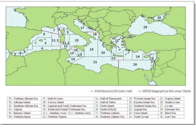 Figure 1.2  The 30 Geographical Sub-Areas (GSAs)  established by the  General  Fisheries Commission for the Mediterranean for management purposes in the  region (GFCM, 2009)