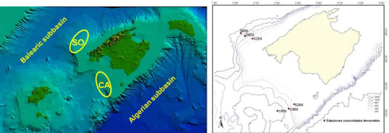 Figure 2.2 Map of the study area and depth strata (250, 650 and 850 m) sampled during  the IDEADOS surveys