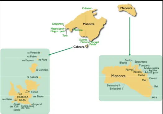 Figura  7.  Principals  illes  i  illots  que  formen  part  de  les  Gimnèsies.  Font: 
