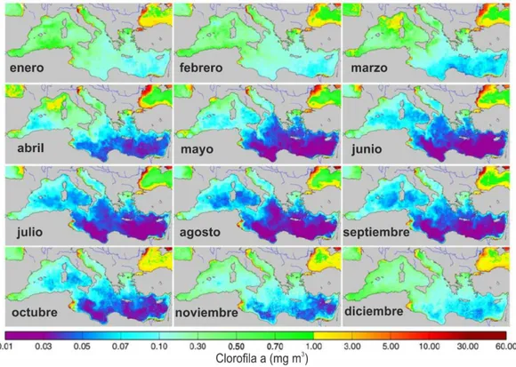 Figura 4 Variación mensual de la concentración de Clorofila a en el mar Mediterráneo.  