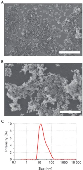 Figure 1. Characterization of amorphous silica nanoparticles  (NPs) aggregates synthesized by the sol-gel method