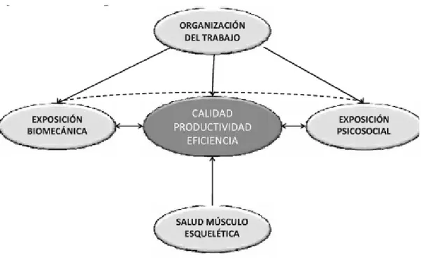 Figura 1. Interacciones entre la organización del trabajo y la ergonomía. 