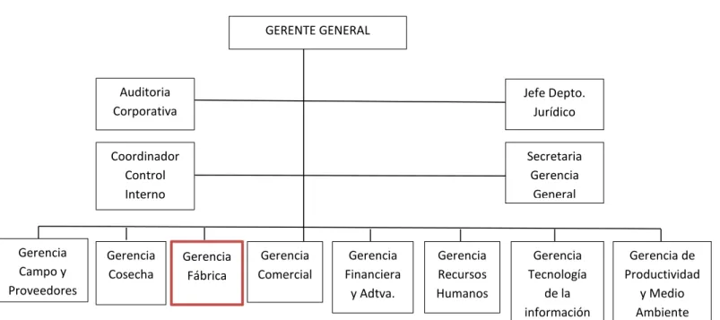 Figura 1. Organigrama Empresarial. 