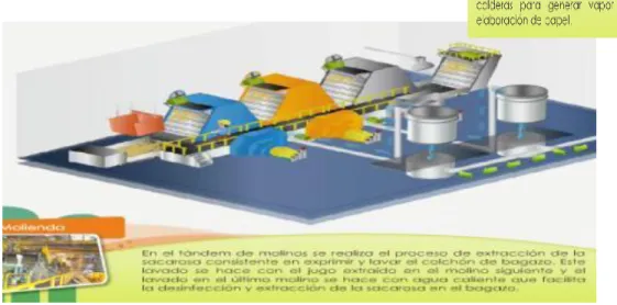 Figura 3. Proceso de Molienda. 