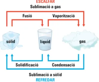 Figura 3. Processos de canvi d’estat 
