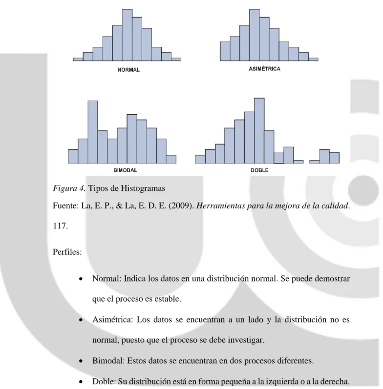Figura 4. Tipos de Histogramas 