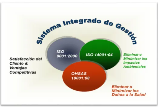Ilustración 2. Sistemas integrados de Gestión  8   