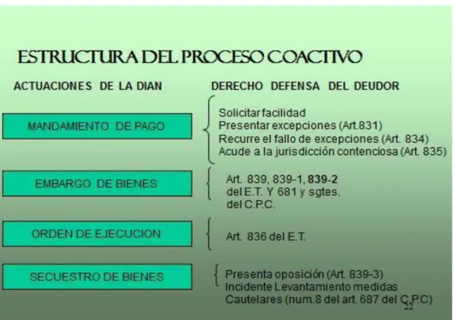 Ilustración 6 Estructura del proceso Coactivo. (Fuente DIAN) 