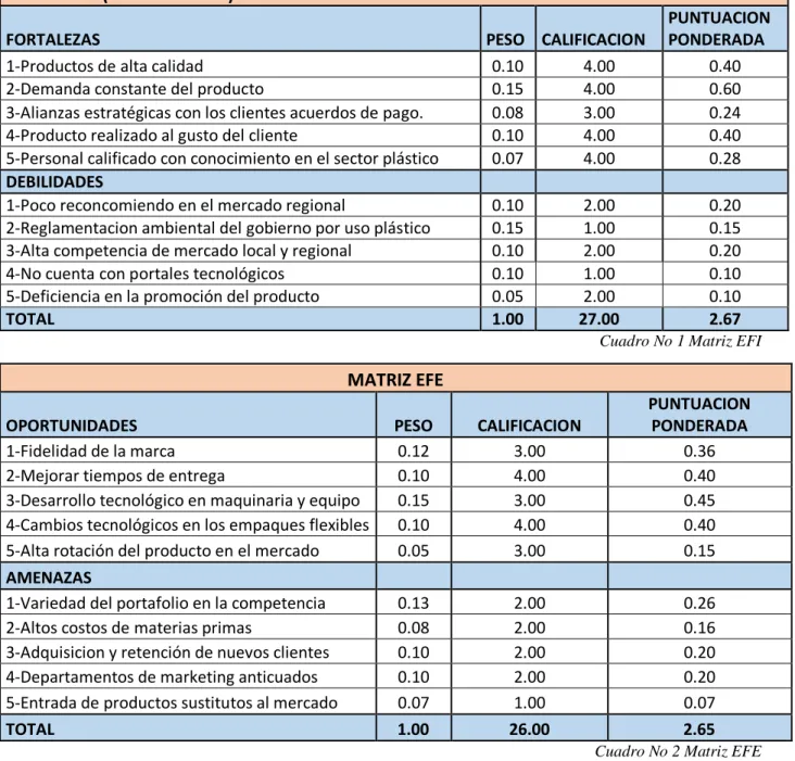 Cuadro No 1 Matriz EFI 