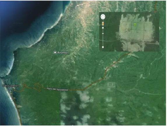 Figura 3.1 Ubicación satelital El Aromo   (Google Maps,2014) 