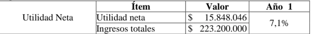 Tabla 19. Margen Neto de Ganancias. 